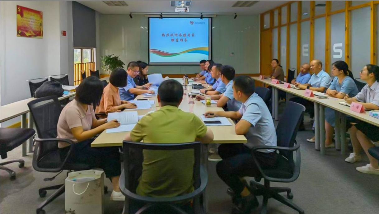 爱游戏电子-爱游戏电子(中国)
顺利通过舒更注册现场核查与小针GMP符合性二合一检查